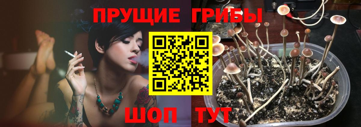 Ипатово  Галлюциногенные грибы MAGIC MUSHROOMS  Вход с VPN 