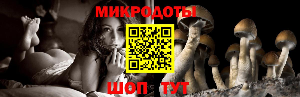 Галлюциногенные грибы мухоморы Ипатово