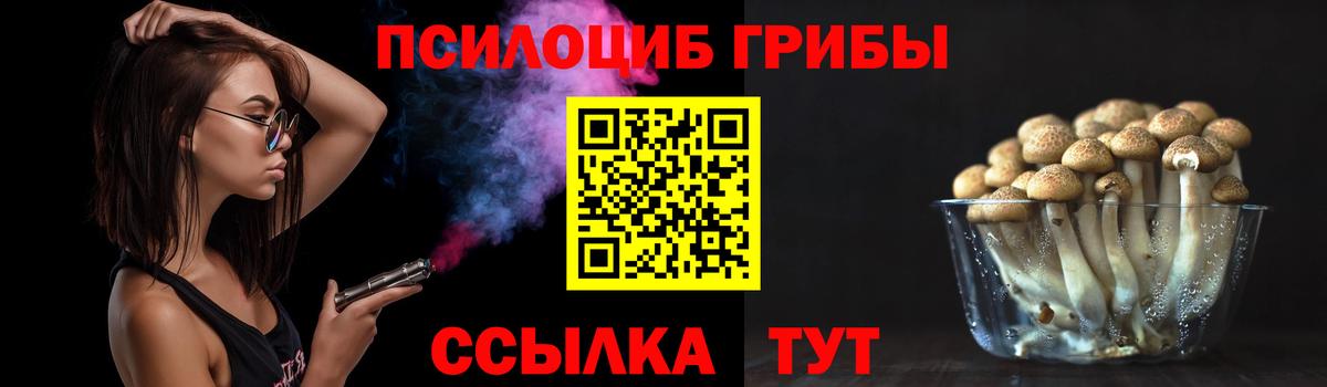 Галлюциногенные грибы Magic Shrooms  Ипатово  Галлюциногенные грибы Psilocybe 