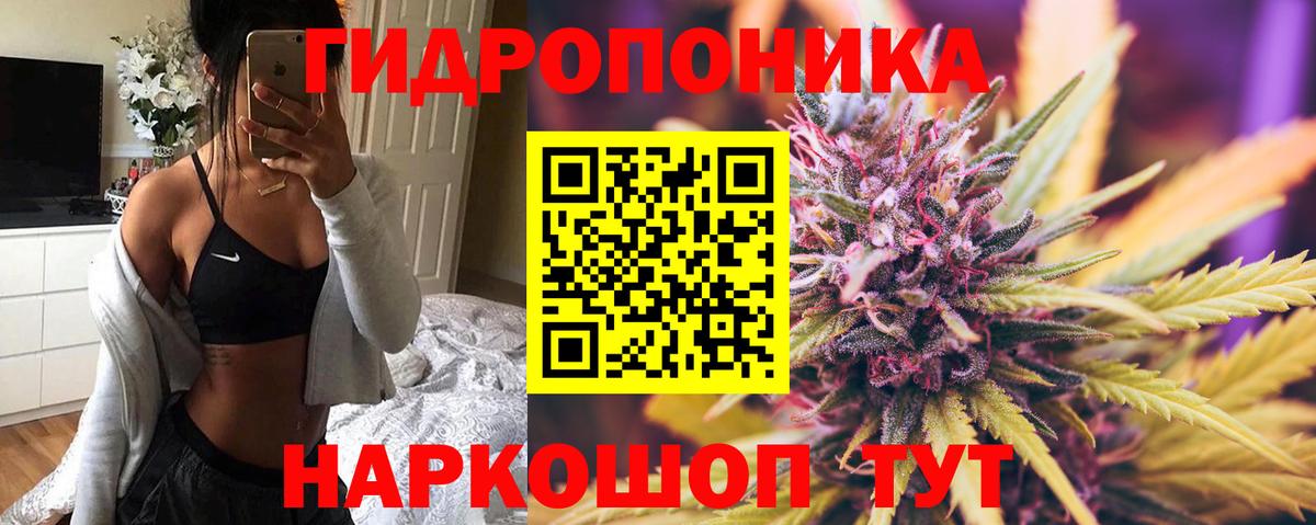 МАРИХУАНА сатива  Ипатово  Конопля Ganja  Конопля Amnesia 